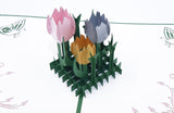 Tulip Handmade 3D Pop Up Card Online @ Best Price in Pakistan