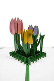Tulip Handmade 3D Pop Up Card Online @ Best Price in Pakistan