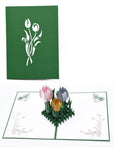 Tulip Handmade 3D Pop Up Card Online @ Best Price in Pakistan