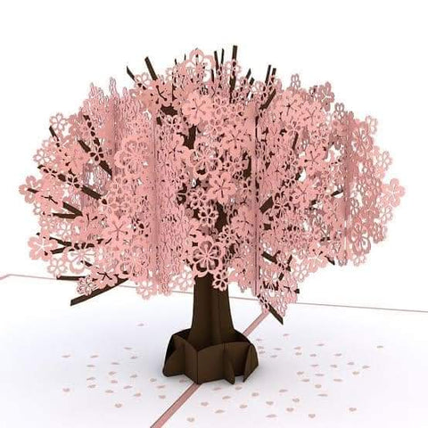 3D Handmade Cherry Blossom Pop Up Card For Your Loved Ones Online @ Best Price in Pakistan